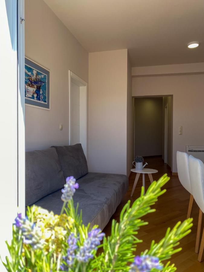 Apartments Dalmatino 沃迪切 外观 照片