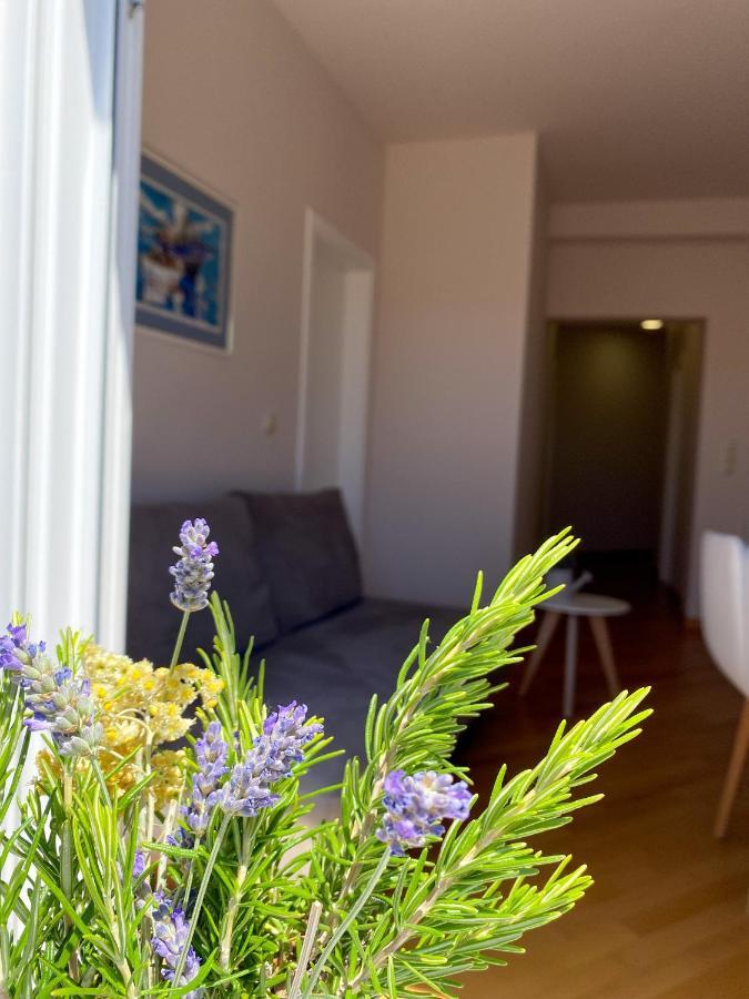 Apartments Dalmatino 沃迪切 外观 照片