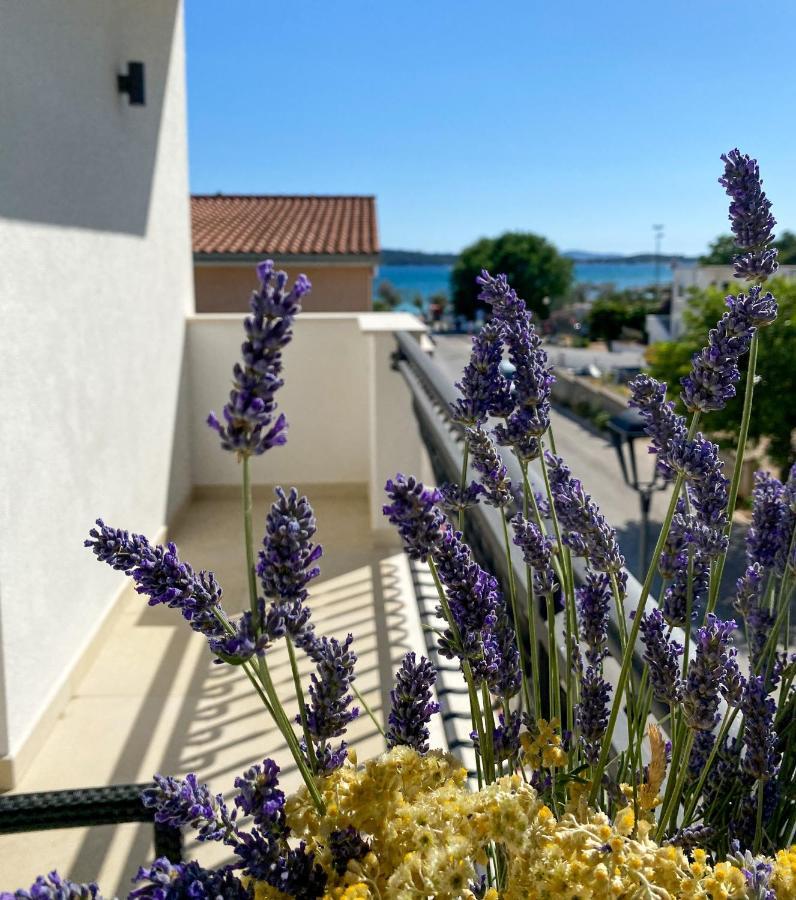 Apartments Dalmatino 沃迪切 外观 照片