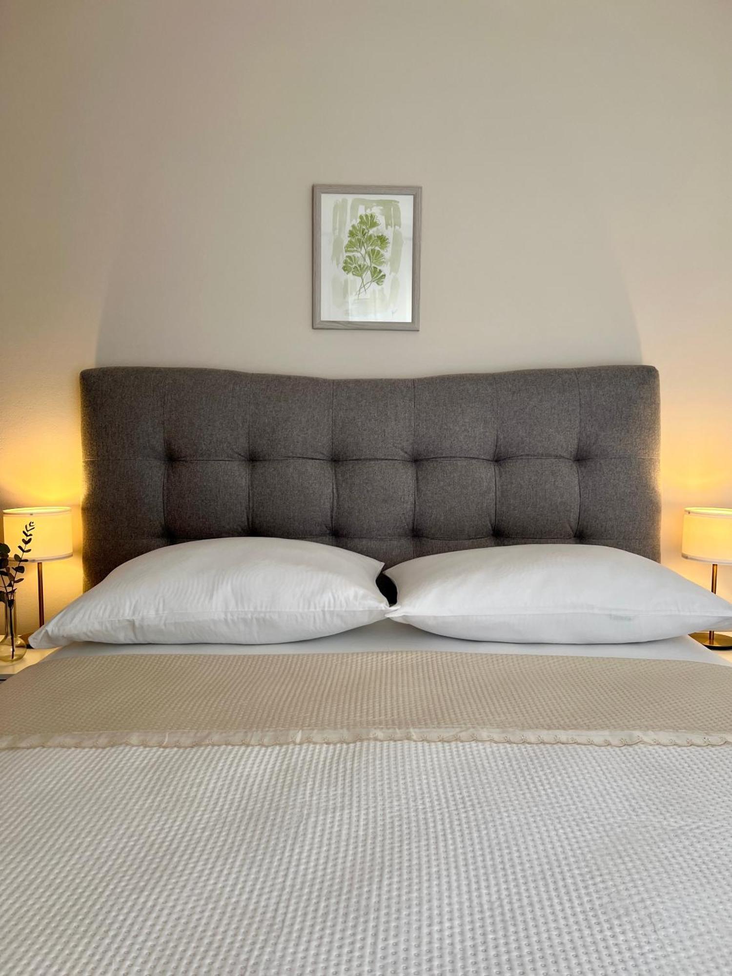 Apartments Dalmatino 沃迪切 外观 照片