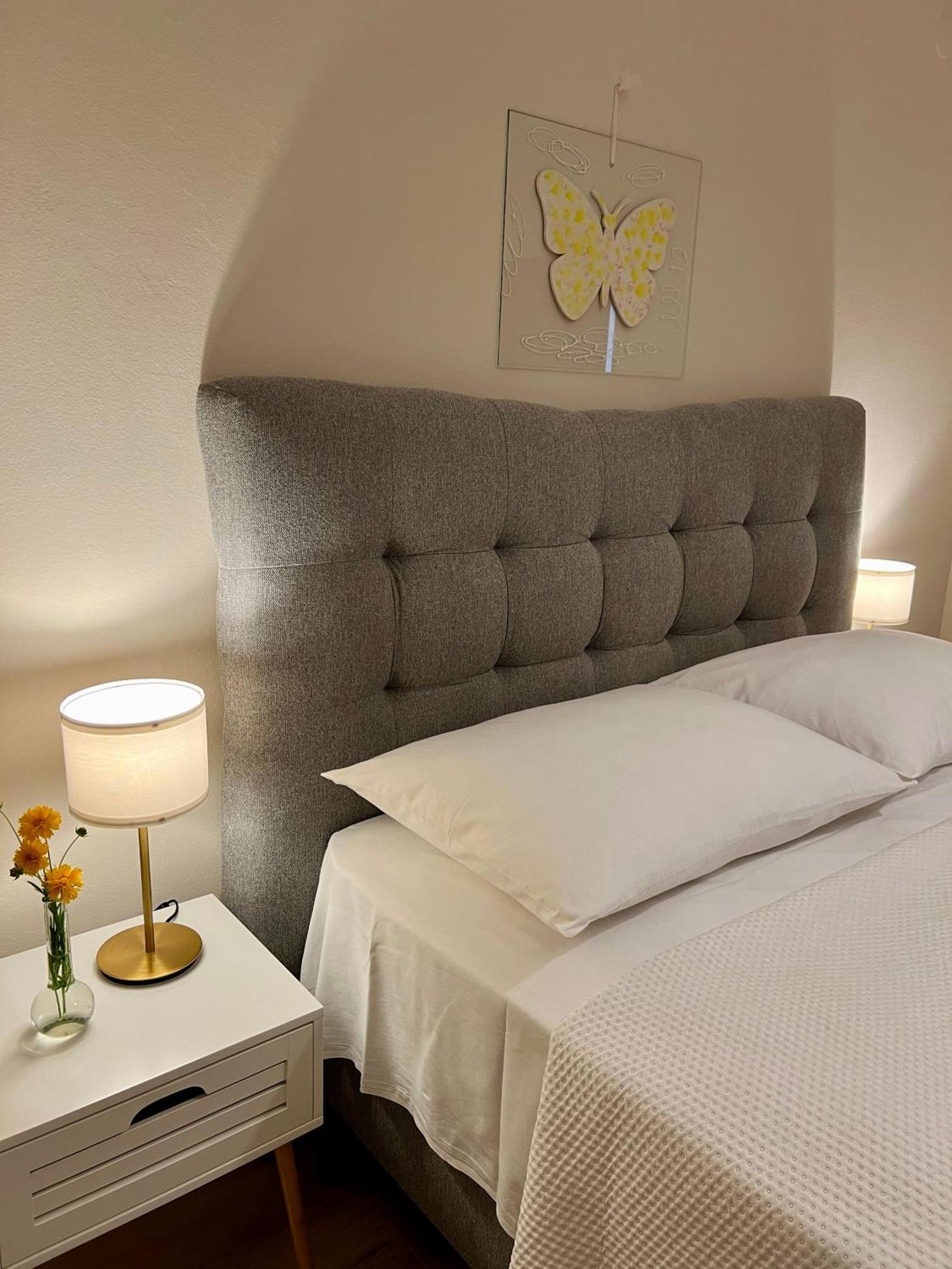 Apartments Dalmatino 沃迪切 外观 照片