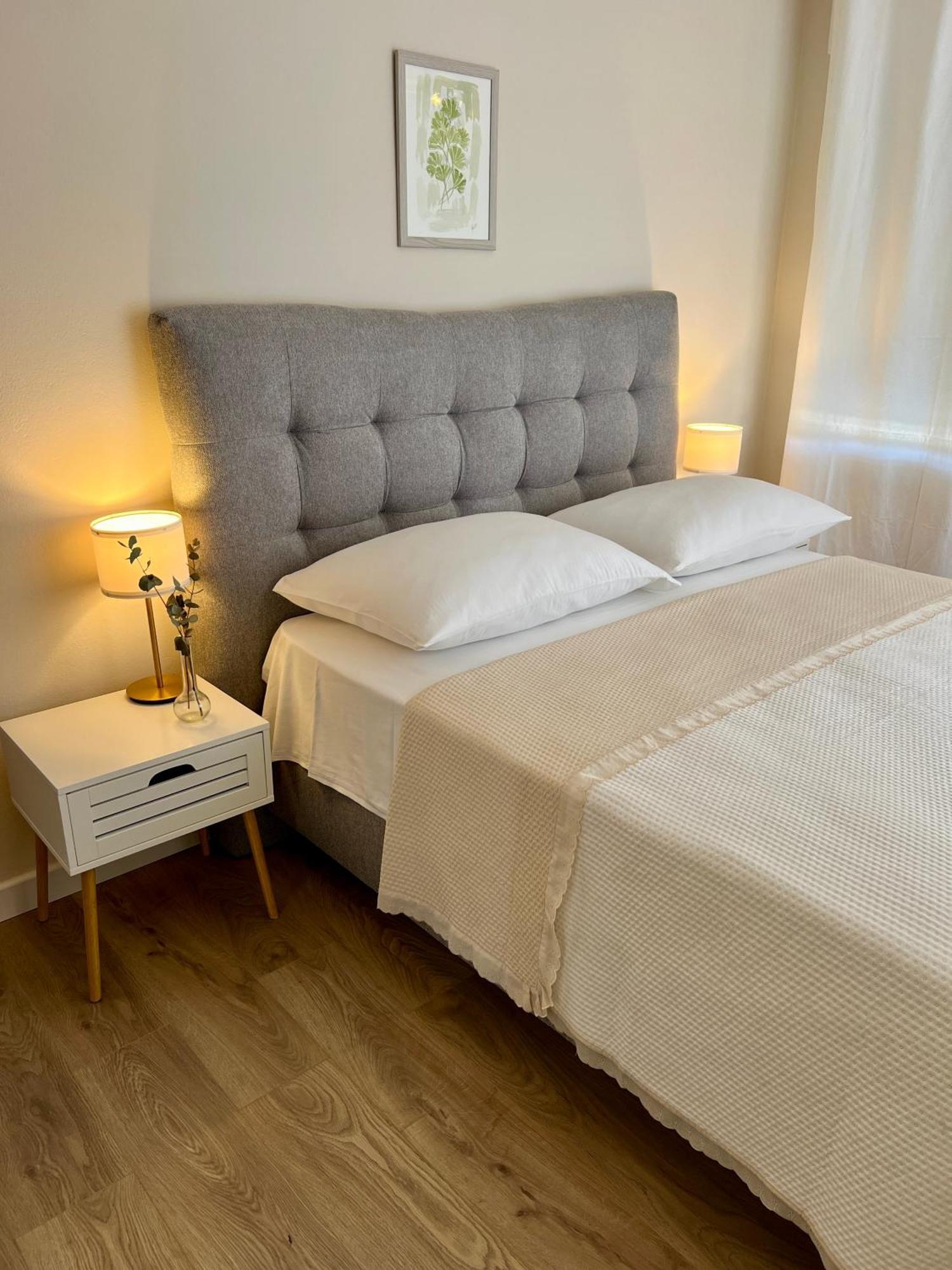 Apartments Dalmatino 沃迪切 外观 照片