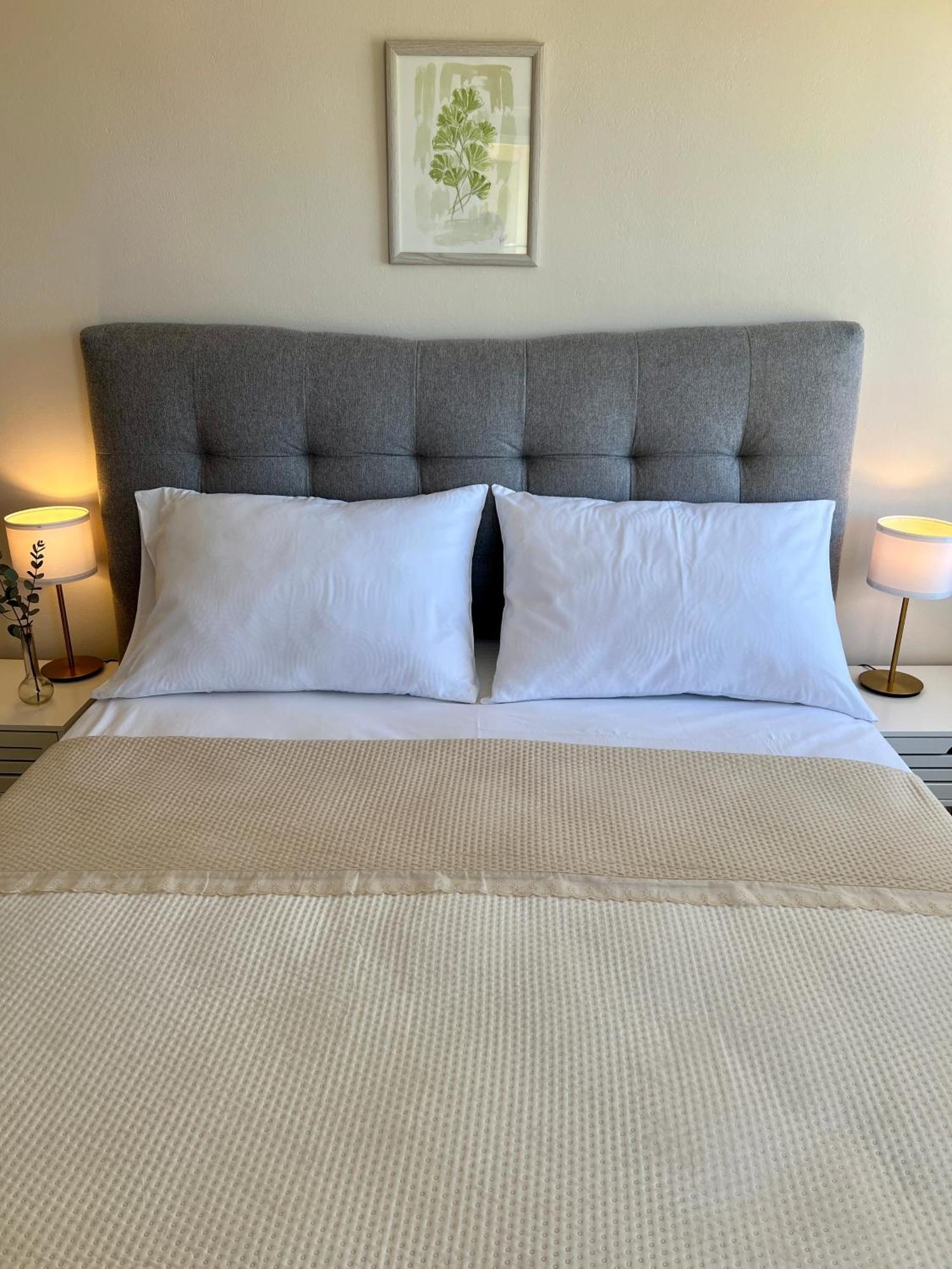 Apartments Dalmatino 沃迪切 外观 照片