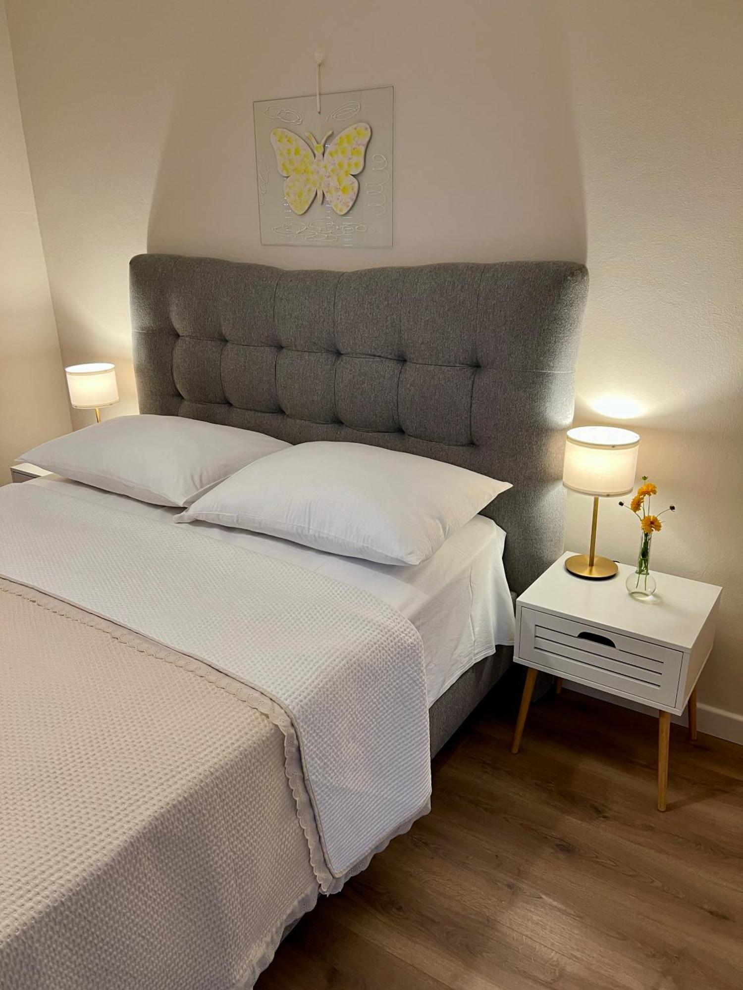 Apartments Dalmatino 沃迪切 外观 照片